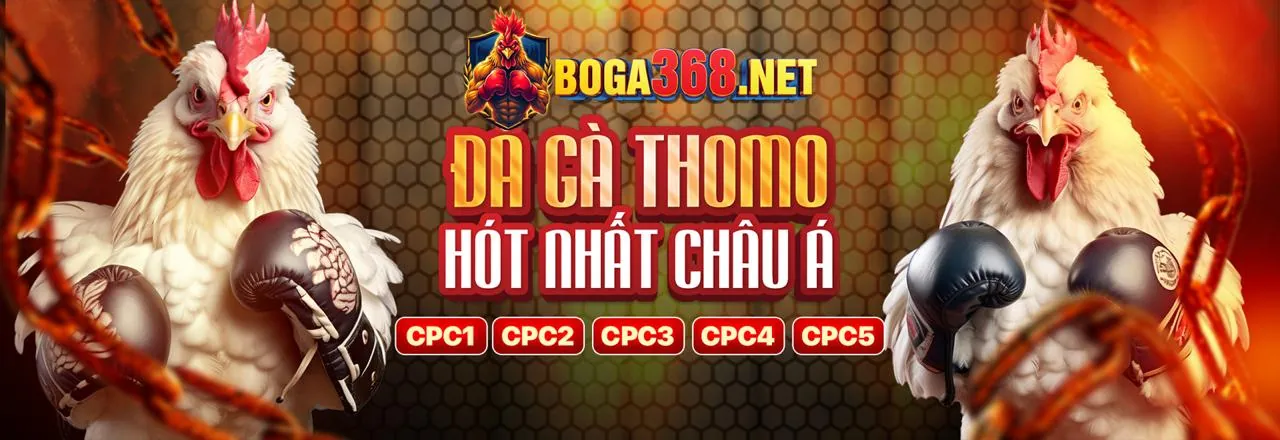 Bảo mật và quyền riêng tư dữ liệu