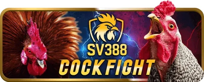 Cá cược thể thao đa dạng kèo cược tại Jackpot Jackpot Good88